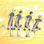 Mashi Mashi Haikyuu Cover