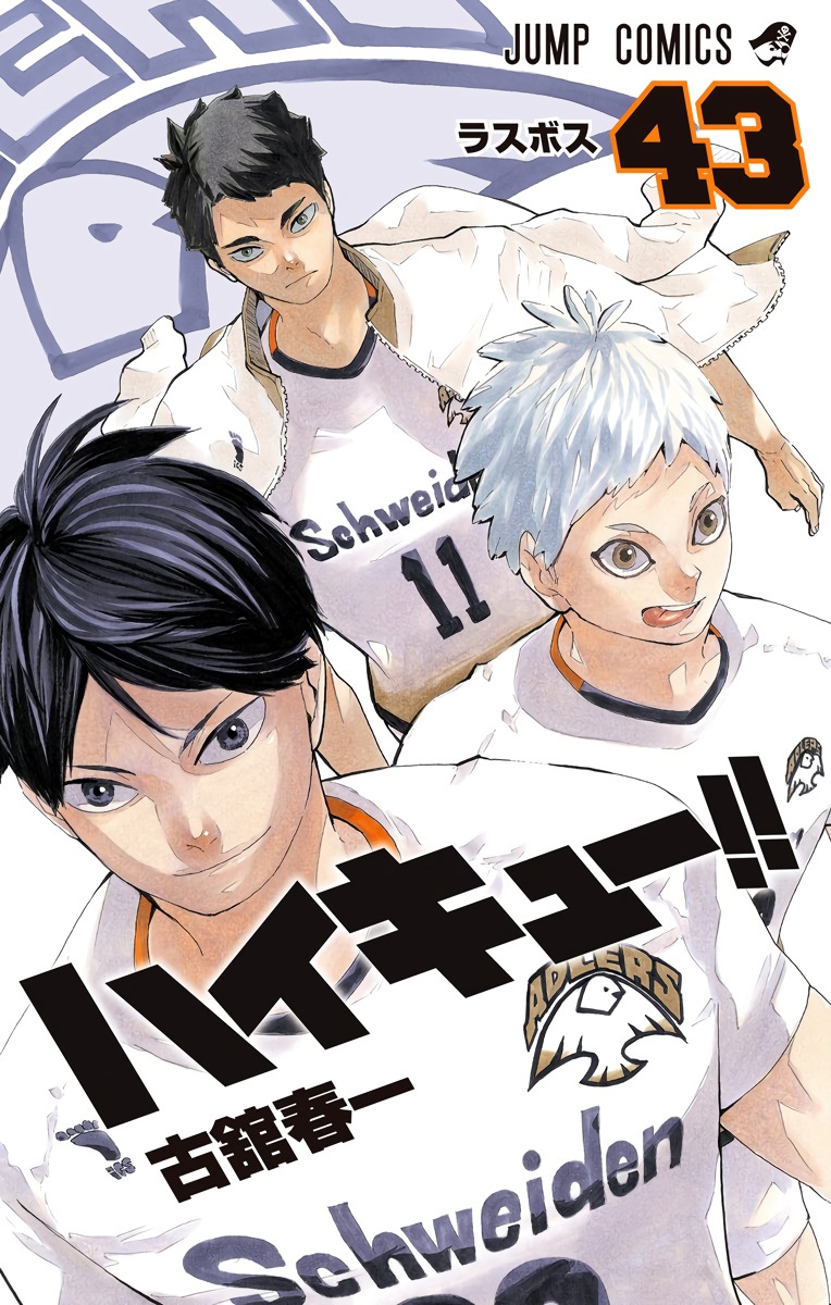 Haikyu!! Vol.45 Haruichi Furudate / Japanese Manga Book Comic