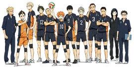 Karasuno equipe
