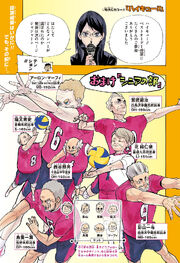 Haikyuu Senior Team.jpg