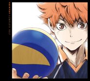 Haikyu!! Complete Best