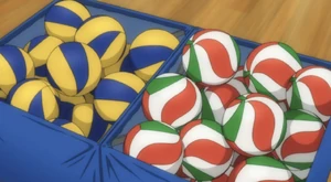 Volleyballs
