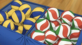 Volleyballs