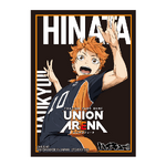Card sleeves[3]