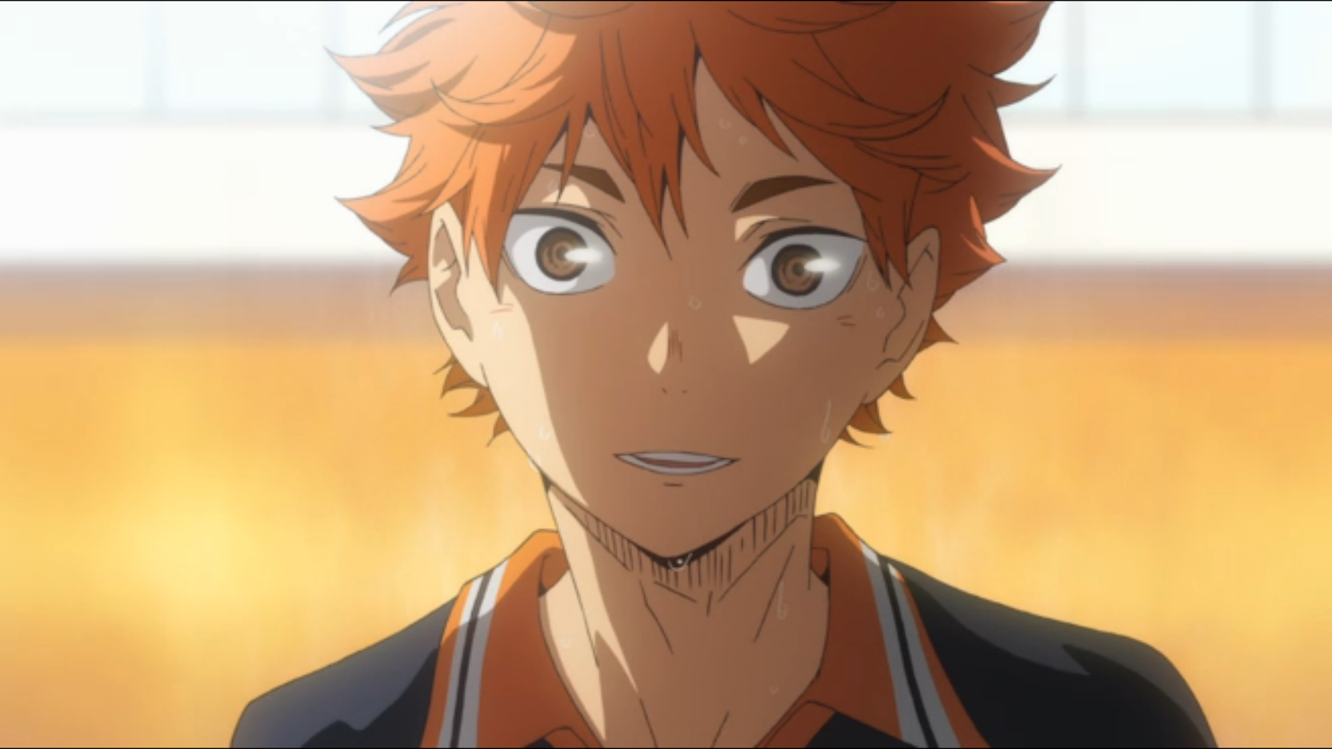 Shoyo Hinata, Wiki Haikyuu