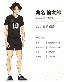 Rintaro Suna, Wiki Haikyuu