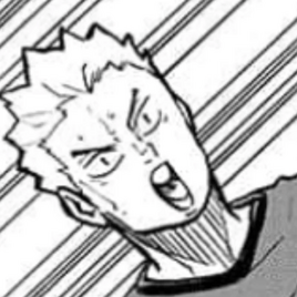 Manga (Timeskip)