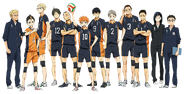 Karasuno Team