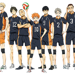 Category Teams Haiky Wiki Fandom