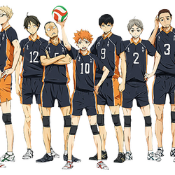 Haikyuu!!, Wiki