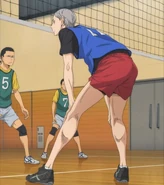 Лев на своей позиции