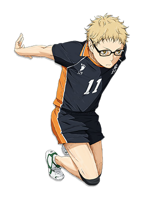 Voleibol, Wiki Haikyuu