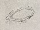 A sketch of an oyster. This is a reference to when Akira Saitō was ill due to eating a bad oyster.[3][2]