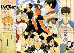 Haikyuu To The Top Shikishi Hajime Iwaizumi Art Board Visual Collection  Vol.4