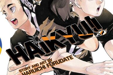 be the thing that buries me — Haikyuu Vol. 45 - soulmates covers