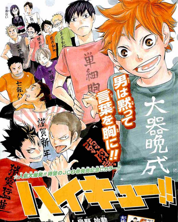 Go Team Karasuno Haikyu Wiki Fandom The story takes place in japan, and follows karasuno high school's boys volleyball team on their journey to restore their school's reputation and to qualify for nationals. go team karasuno haikyu wiki fandom