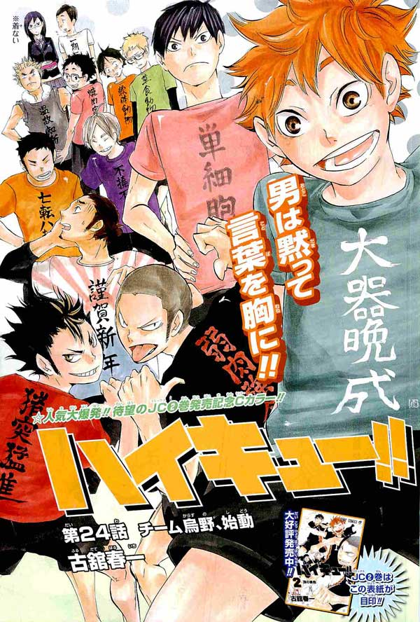 Karasuno High~, Wiki