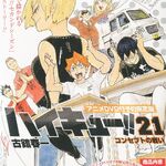 Novo título no catálogo: OVAs de Haikyu!!: LAND VS. AIR e The Path of the  Ball - Crunchyroll Notícias