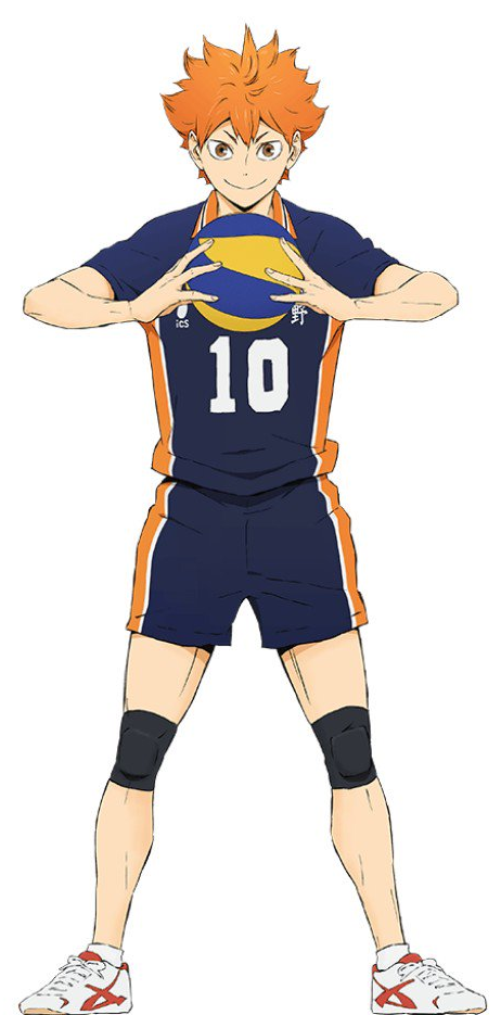 Quadro Anime Haikyuu Shoyo Hinata E Personagens 5pçs