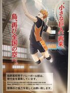 Hinata no cartaz promocional do Clube de Voleibol Masculino Karasuno feito por Yachi