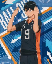 Kageyamatobio1-e1461281989933