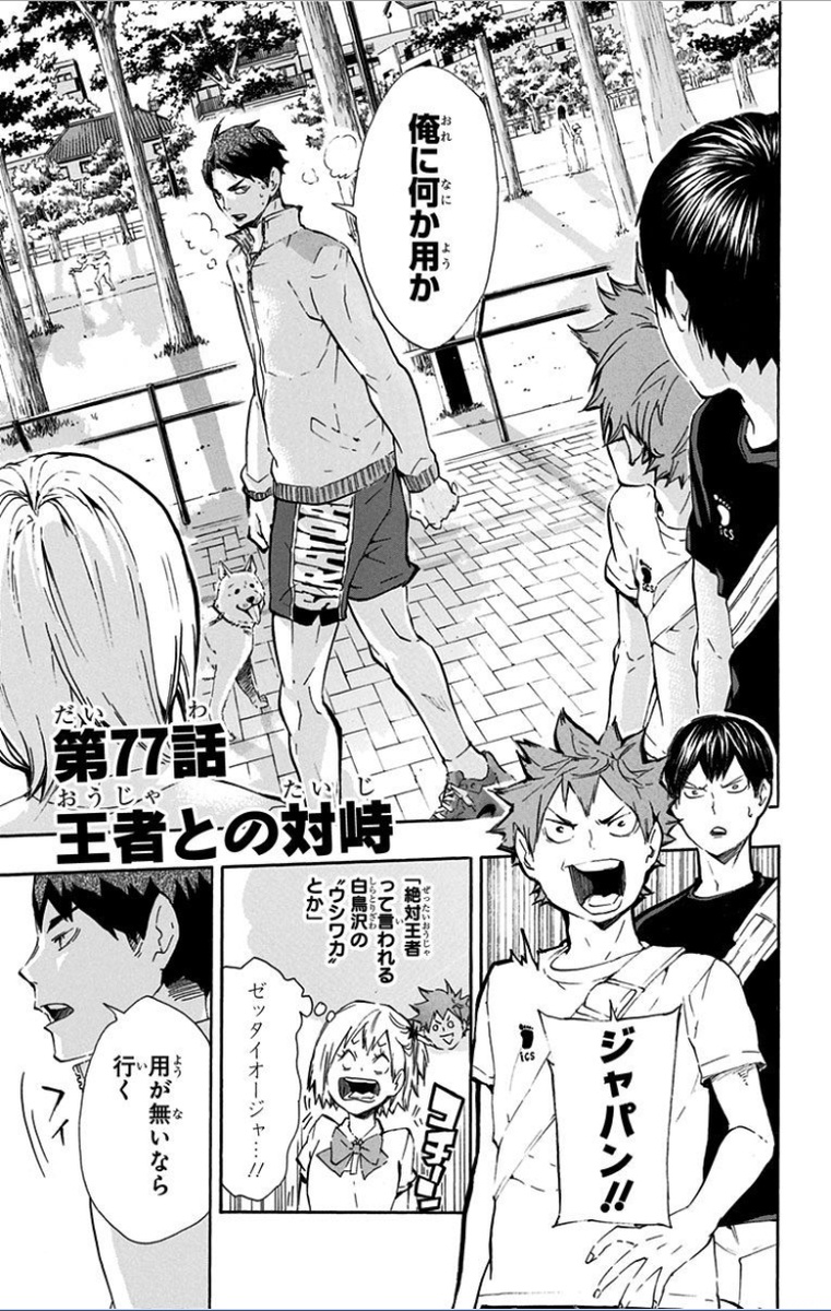 BIG SIZE Haikyuu!! group Hinata Kageyama Oikawa Kuroo Ushijima