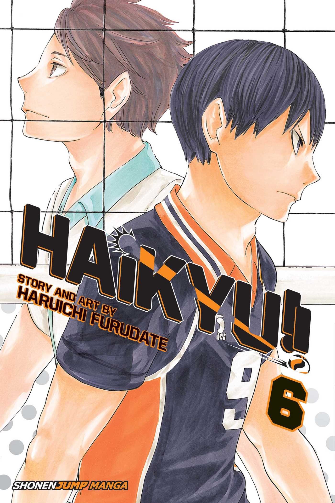 Haikyu!! Manga Volume 41