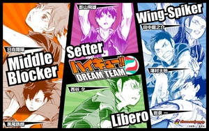 Drużyna marzeń haikyu