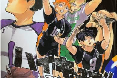 Special Feature! Betting on the Spring High Volleyball (OVA), Haikyū!!  Wiki