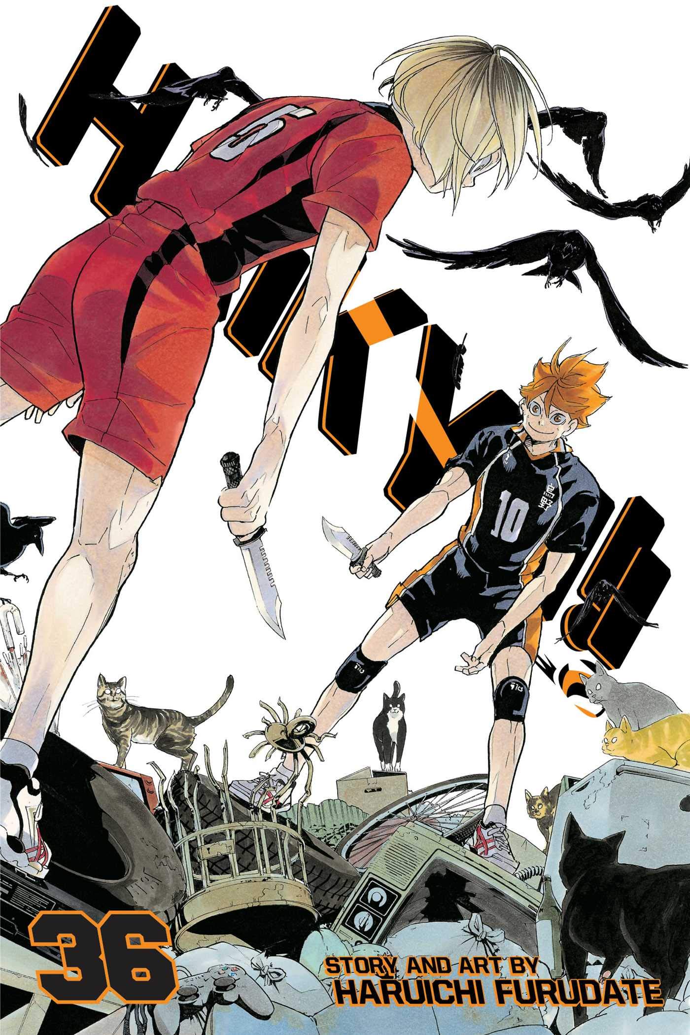 Haikyuu!! Volume 44 English