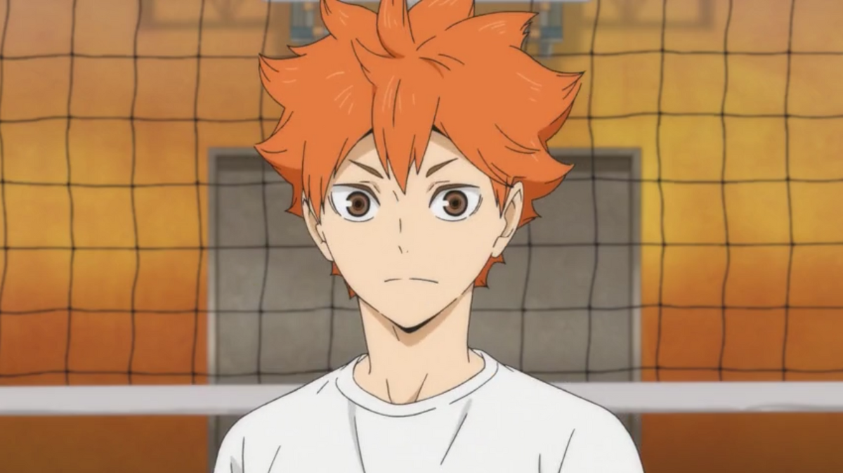 Shoyo Hinata, Wiki Haikyuu