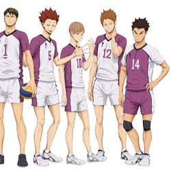 Haikyuu teams hot sale