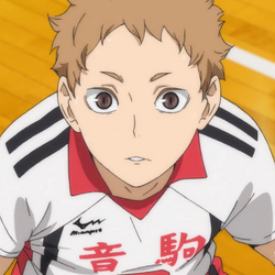 Category Nekoma High Volleyball Club Haikyu Wiki Fandom Please help us out by adding more content. category nekoma high volleyball club