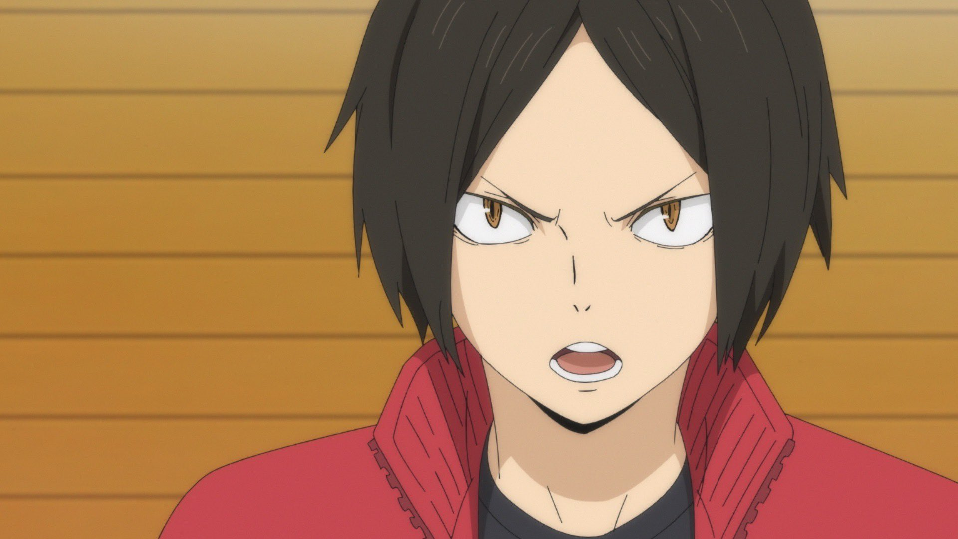 Haikyuu Season 4 Reveals New Cast Additions