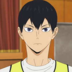 What if pro volleyball players were cast as Haikyuu characters?