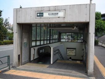 User Blog Asanomi Kuroki Haikyuu In Real Life Haikyu Wiki Fandom