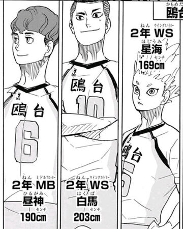 Kamomedai High Haikyu Wiki Fandom Sebelum itu, dia adalah pemukul luar pada tahun kedua untuk sma kamomedai. kamomedai high haikyu wiki fandom