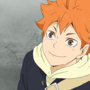 Wiki Haikyuu Fandom 1.2k reads 35 votes 35 part story. wiki haikyuu fandom