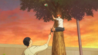 Hinata holt den Ball aus dem Baum