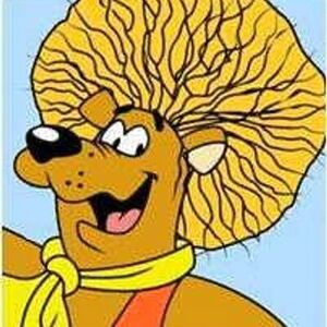 Hair cheap bear bunch