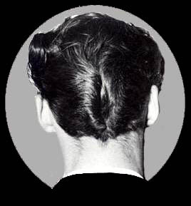 Hairstyle - Wikipedia