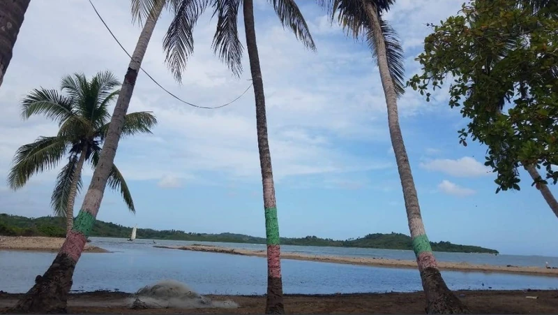 Along the Torbeck waterfront, marked by colorful palm trunks and the soft curve of land reaching into the bay.