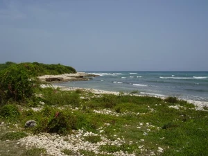 Frangipane waterfront near Ti Sale