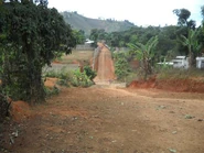 Road in Mont-Organisé
