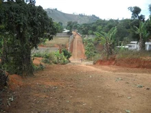 Route Trou-Zombi; Carice, , 