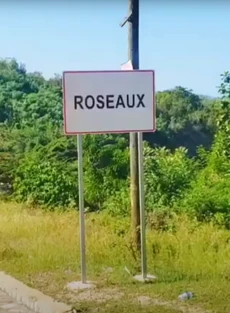 Roseaux 92325