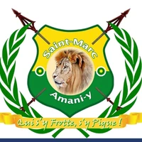 Coat of arms of Saint-Marc (Amani-Y), featuring a lion at the center and the motto « Qui s’y frotte, s’y pique », symbolizing strength, vigilance, and the city’s enduring spirit.