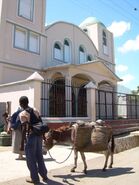 Man pulls up to church in a donkey; Terrier Rouge