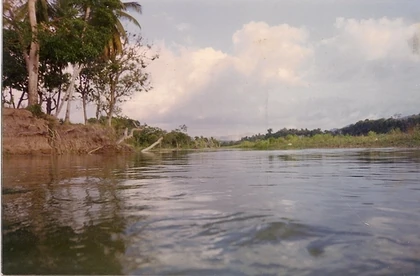 Winding River; Morriseau, 