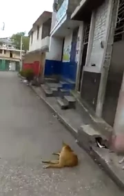 Ruelle Jules, Bolosse, Port-au-Prince, Haiti